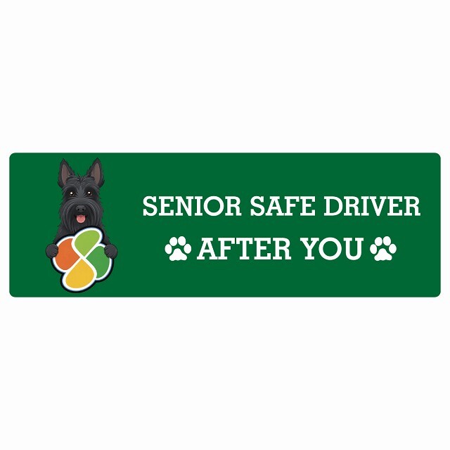 カーサイン 高齢者マーク SENIOR SAFE DRIVER スコティッシュテリア ステッカー シール 長方形 15x5cm 肉球 日本製 車