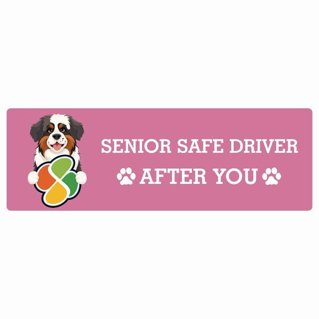 カーサイン 高齢者マーク SENIOR SAFE DRIVER セントバーナード ステッカー シール 長方形 15x5cm 肉球 日本製 車
