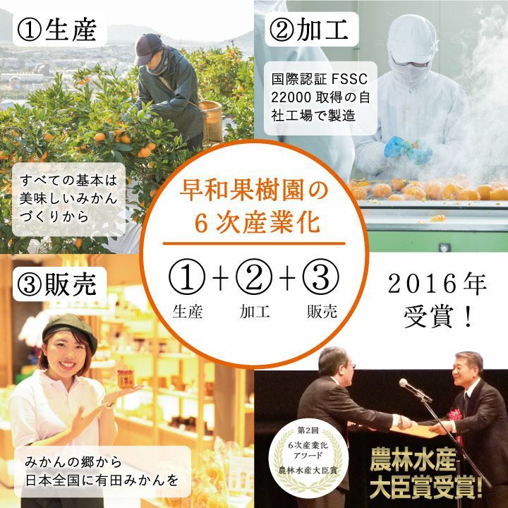 敬老の日 誕生日 5000円 ギフト ジュース ゼリー ジュレ ストレート 和歌山 早和果樹園 有田 和歌山 みかん 飲むみかんとジュレまるごと入ギフト C6-B9 プレゼント 