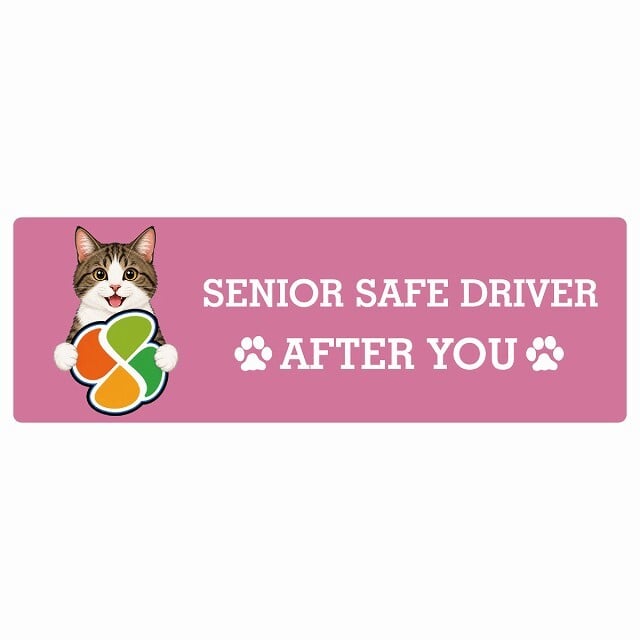 カーサイン 高齢者マーク SENIOR SAFE DRIVER キジ白 ステッカー シール 長方形 15x5cm 肉球 日本製 車