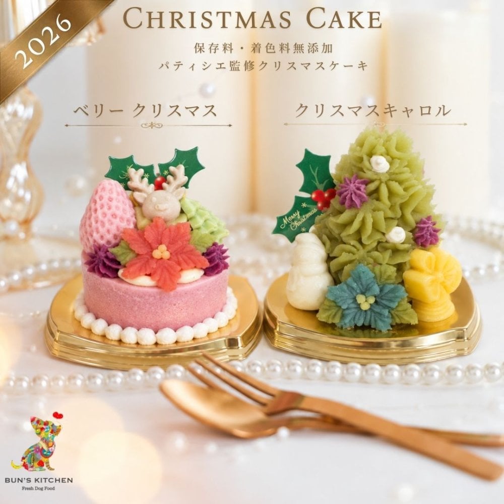 犬用クリスマスケーキ BUNS'KITCHEN ベリークリスマス デザートタイプ