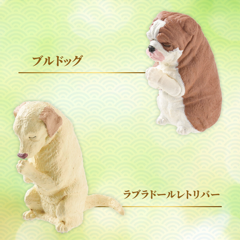 【5種類セット】 ガチャ ガチャガチャ コンプリート 中身 合掌 匠 ～犬拝～ 其の参
