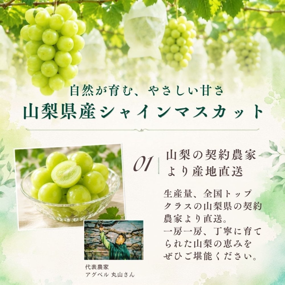 【産地直送】山梨県産 シャインマスカット 特秀品 約1kg｜秋ギフト・誕生日・内祝い・贈答用