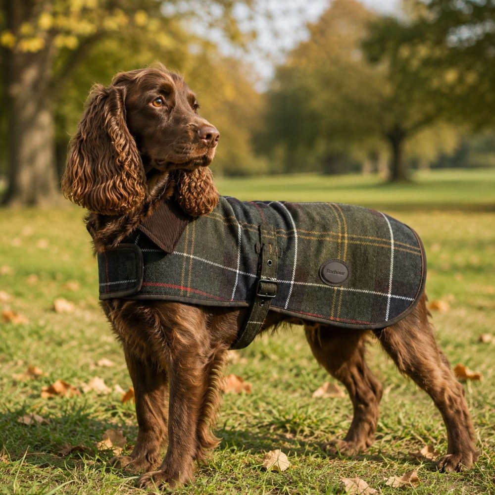 バブアー Barbour WOOL TOUCH DOG COAT ウールタッチ ドッグコート DCO0010 ドッグウェア 服 ペット用品 犬 ペット クラシックタータン