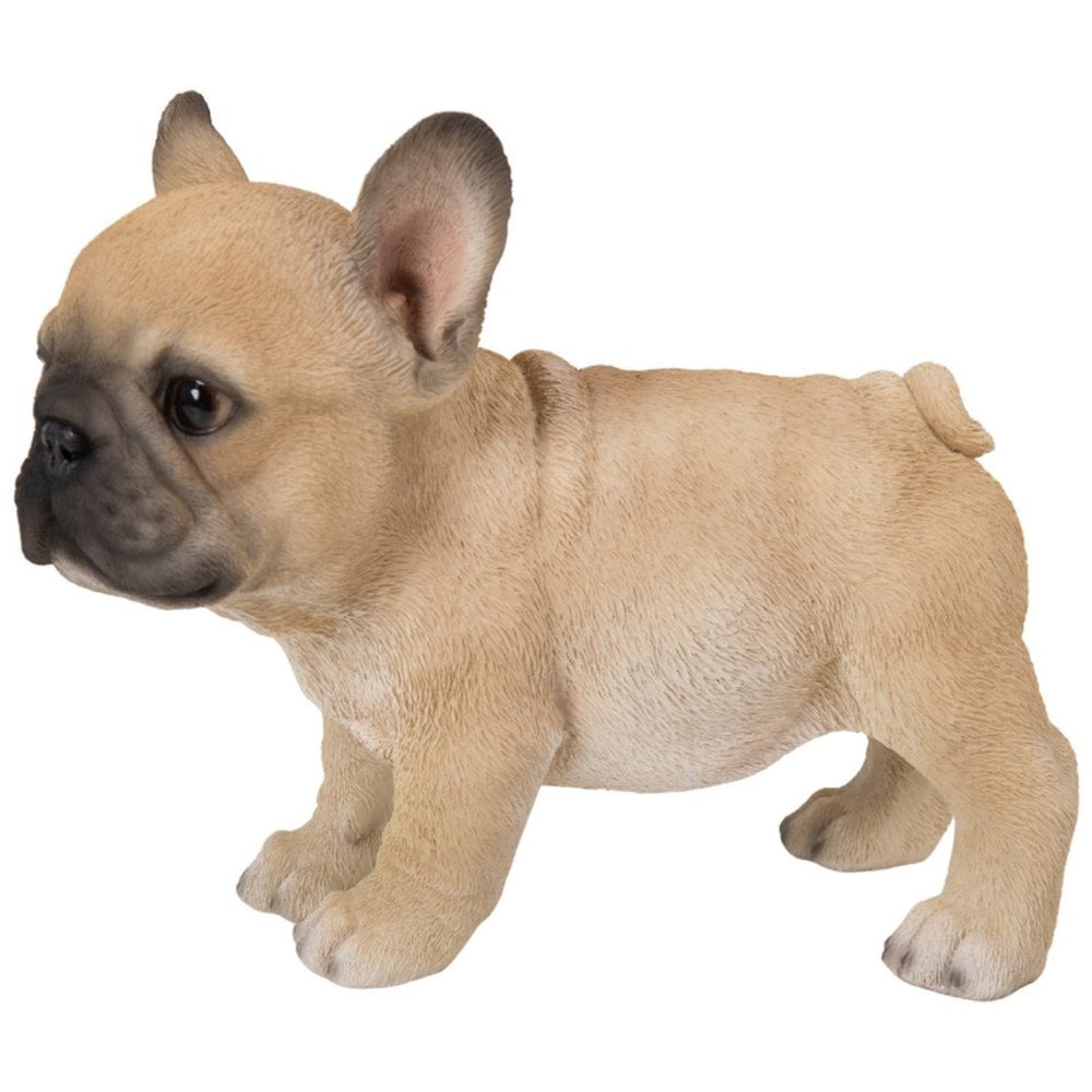 置物 woobia ウービア フレブル 立つ子犬のフレンチブルドッグ フォーン 幅17.8cm 子犬 リアル 本物そっくり イギリス生まれ 職人手彩色 縁起物 戌年 玄関 インテリア 新築祝い 引っ越し祝い 開店祝い 出産祝い 誕生日 お祝い ギフト プレゼント 犬好き フレンチブルドッグ好き