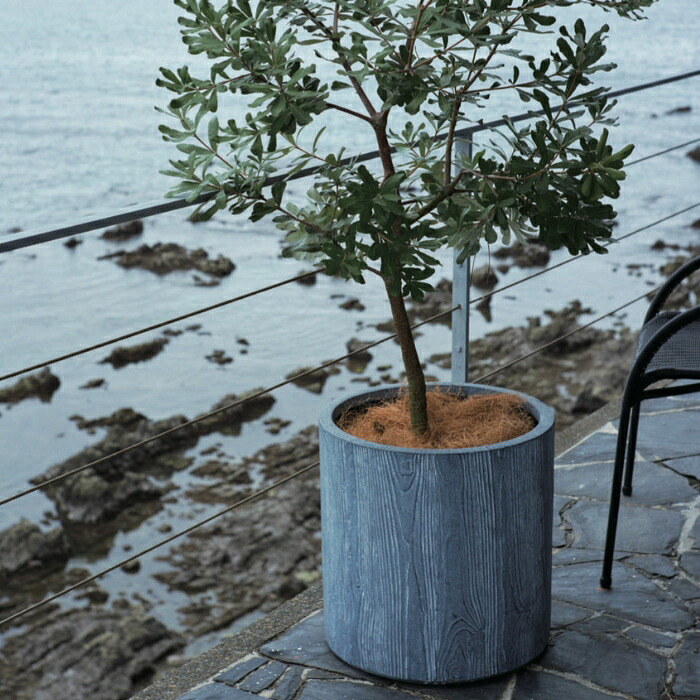 植木鉢 おしゃれ 大型 15号 アルファ シリンダープランター グレーウッド 幅45cm 高さ45cm 鉢カバー ファイバーセメント製 寒冷地対応 グレー 北欧 屋外 室内 兼用 観葉植物用 サボテン 特大 ガーデニング ベランダ 玄関 インテリア プランター 深型