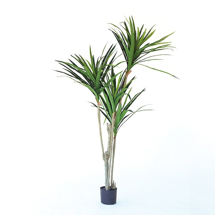 観葉植物 造花 ユッカ BROWN 全高約160cm 大型 フェイクグリーン 本物そっくり おしゃれ インテリア 人工観葉植物 アーティフィシャルグリーン オフィス 店舗 ホテル 開店祝い 室内 青年の木 エレファンティペス フェイク