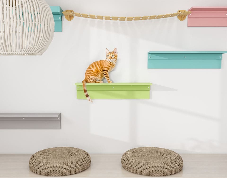 キャットウォーク 壁掛け 幅89.8cm 猫家具 日本製 完成品 arneco Board Walk L aino キャットタワー キャットステップ 壁面収納 猫用家具 多頭飼い 運動不足対策 ペット家具 猫用品 犬用品 省スペース リビング インテリア