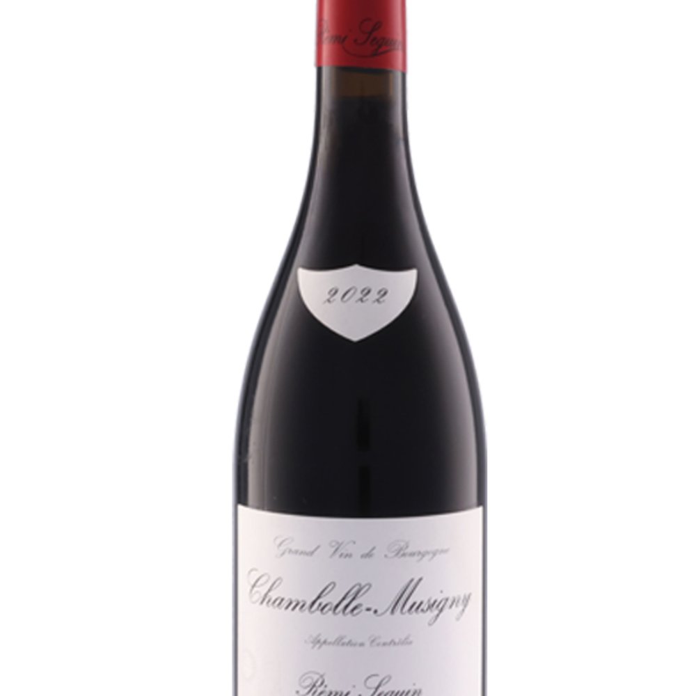 ★ 送料無料 ★ 2022 シャンボル・ミュジニー 750ml/ レミ・スガン 【 9376 】【 フランス赤ワイン 】【 ハロウィン 贈り物 ギフト プレゼント 誕生日 結婚のお祝い 】