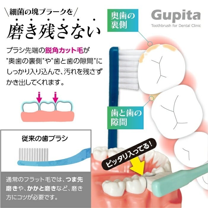 毛のかたさ選べる 歯科専用歯ブラシ Gupita グピタ (毛のかたさ：Mふつう／Sやわらかめ) 20本 (メール便3点まで) 【メール便送料無料】(※日時指定不可)／ 理想の歯ブラシ 全5色 個包装 ／ 復興支援商品 新生活
