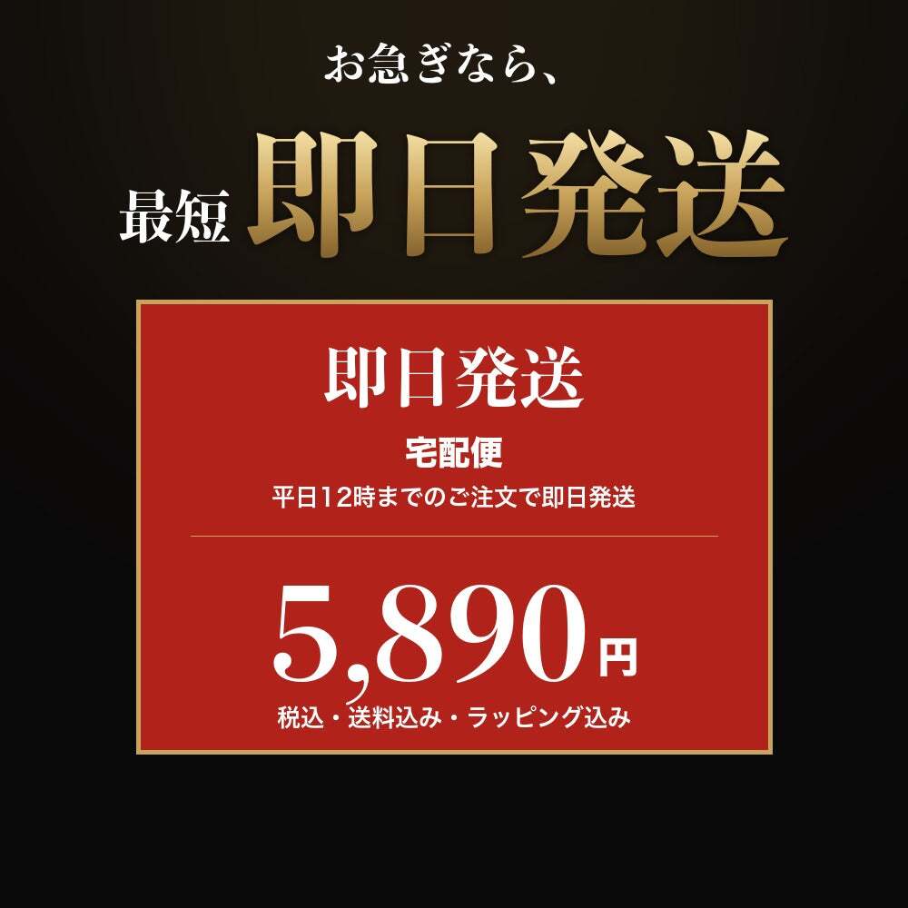 法人印鑑 2本セット 黒水牛 代表印 銀行印 専用ケース付 RR 会社印 実印 印鑑 はんこ 会社設立 即日発送 ラッピング付き 永年保証 ギフト 開業祝い