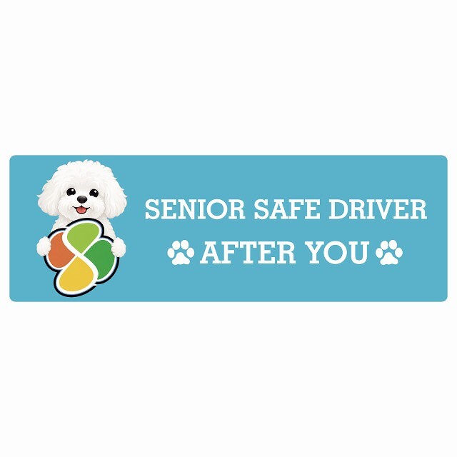 カーサイン 高齢者マーク SENIOR SAFE DRIVER ビションフリーゼ ステッカー シール 長方形 15x5cm 肉球 日本製 車