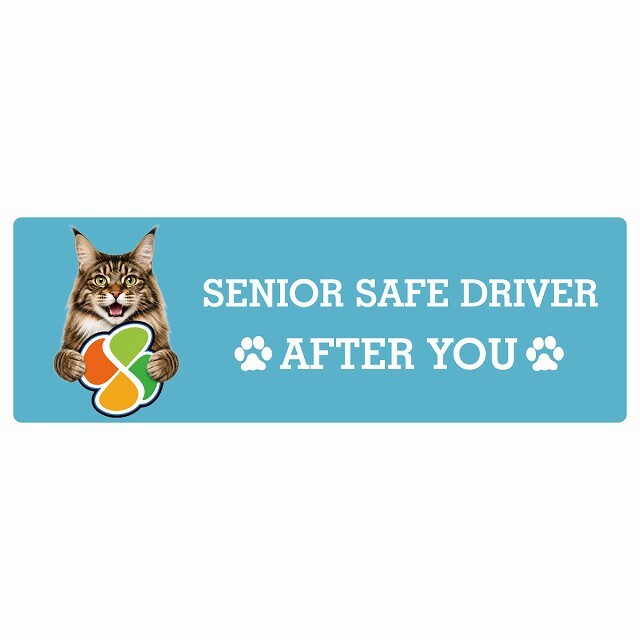カーサイン 高齢者マーク SENIOR SAFE DRIVER メインクーン ステッカー シール 長方形 15x5cm 肉球 日本製 車