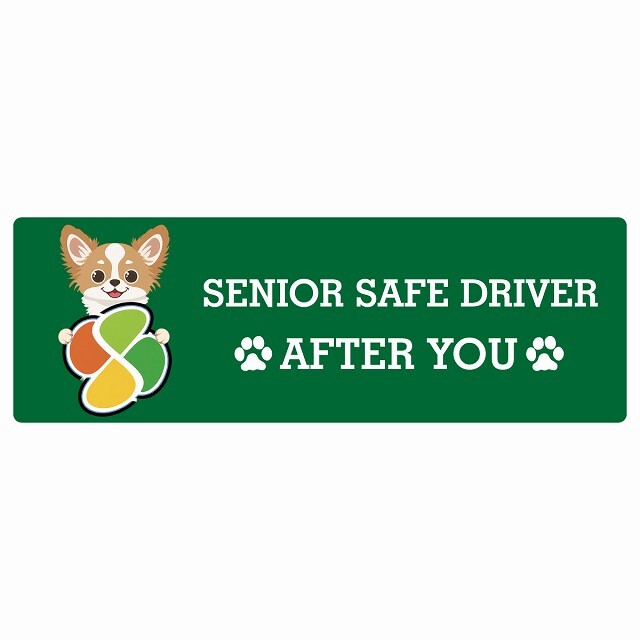 カーサイン 高齢者マーク SENIOR SAFE DRIVER チワズー ステッカー シール 長方形 15x5cm 肉球 日本製 車