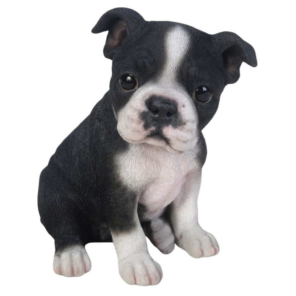 置物 woobia ウービア 犬 ボステリ 右向きボストンテリア 黒白 高さ16.2cm 子犬 タキシード犬 リアル 本物そっくり イギリス生まれ 職人手彩色 縁起物 戌年 玄関 インテリア 新築祝い 引っ越し祝い 開店祝い 出産祝い 誕生日 お祝い ギフト プレゼント 犬好き ボストンテリア好き