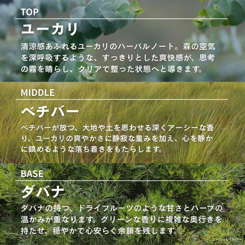 正規品 アシュレイ＆バーウッド リードディフューザー 150ml  ユーカリ&ベチバー Ashleigh & Burwood 芳香剤 ルームフレグランス ディフューザー 英国 おしゃれ 長持ち 高級 ギフト プレゼント 贈り物 新築祝い 結婚祝い