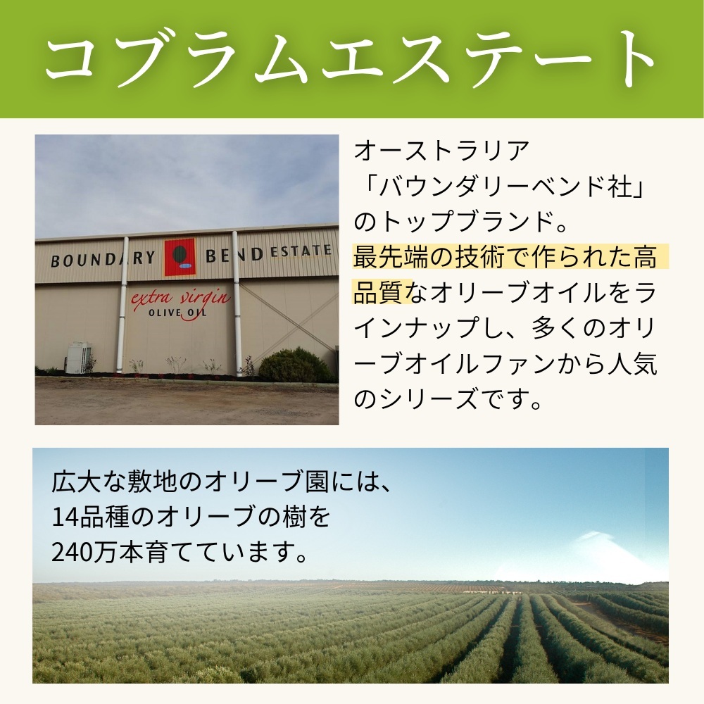 コブラムエステート ウルトラプレミアム オヒブランカ エキストラバージンオリーブオイル 500ml