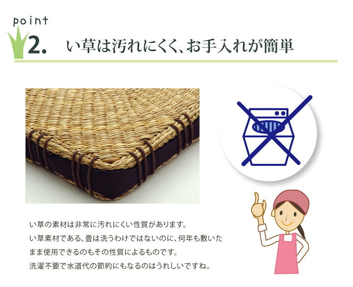 クッション 七島クッション 七島藺草 シート 『コート マチ付』 約40×40cm 2枚組