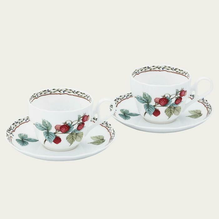 カップ&ソーサーペア 〈4911L/P97887〉 オーチャードガーデン ノリタケ 正規品 結婚祝い 新築祝い 引越し祝い 記念品 プレゼント 食器 ギフト 食器 碗皿セット r8d