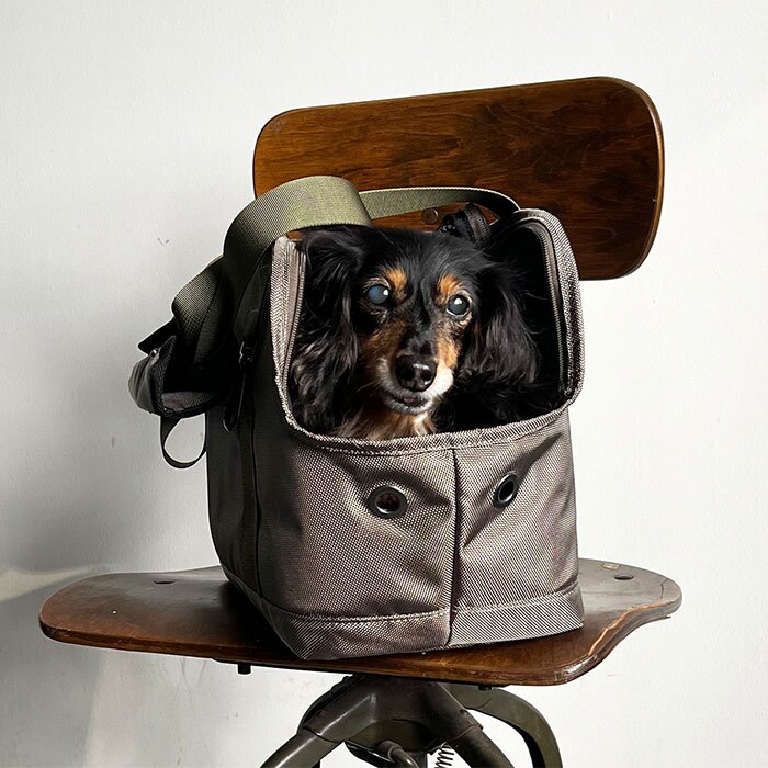 ペット キャリーバッグ 通販 PUFF 犬用キャリーケース 猫用キャリーバッグ トートキャリー ボストンキャリー ショルダーキャリー 小型犬用キャリー 超小型犬キャリー お出かけ ペットキャリーバック dog bag おしゃれ シンプル 中型犬 ペットバッグ
