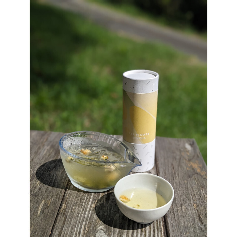 【自然栽培のお茶】茶の花煎茶ティーバッグ8包