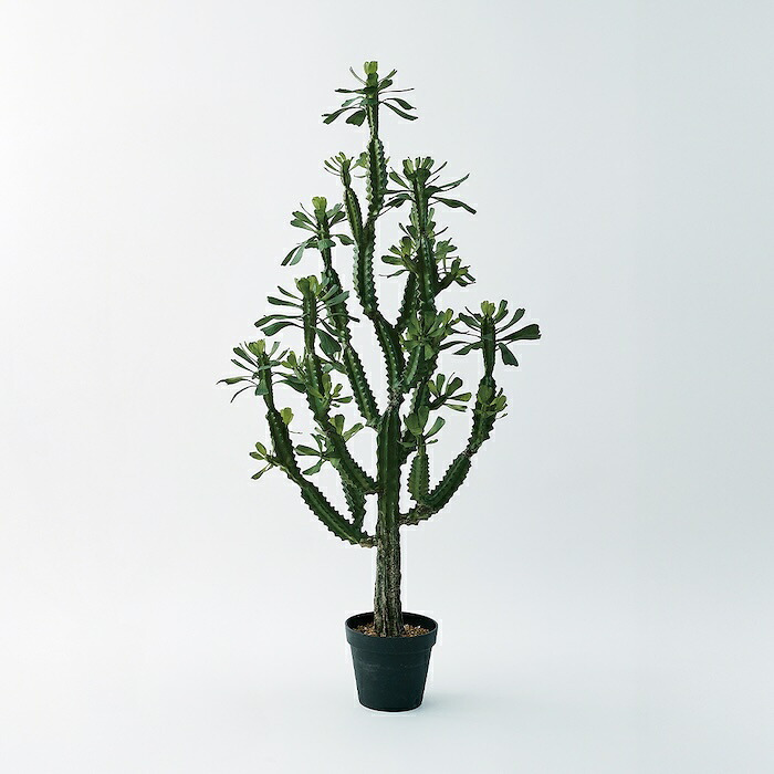 観葉植物 造花 ユーフォルビア BROWN 全高約147cm 大型 フェイクグリーン 本物そっくり おしゃれ インテリア 人工観葉植物 アーティフィシャルグリーン オフィス 店舗 ホテル 開店祝い 室内 多肉植物 フェイク