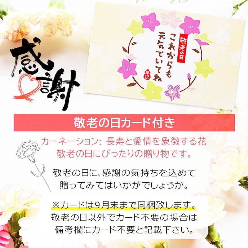 敬老の日 孫から おばあちゃん 祖母 80代 70代 ギフト カーネーション 早割 ブーケ 翌日配送 花束 ギフト 誕生日 プレゼント バラ 花瓶いらず スタンドブーケ 花 ギフト 50代 60代 70代 80代 送料無料 送料無料 フラワー アレンジメント 花束 誕生日 造花 ブーケ 発表会