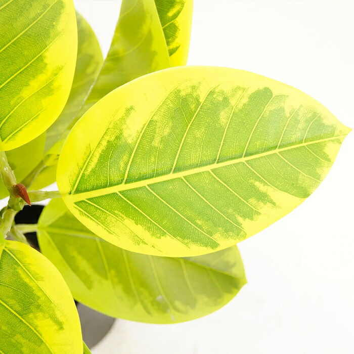 観葉植物 造花 フィカス アルテシマ BROWN 全高約135cm 大型 ゴムの木 フェイクグリーン 本物そっくり おしゃれ インテリア 人工観葉植物 アーティフィシャルグリーン オフィス 店舗 ホテル 開店祝い 室内 フェイク