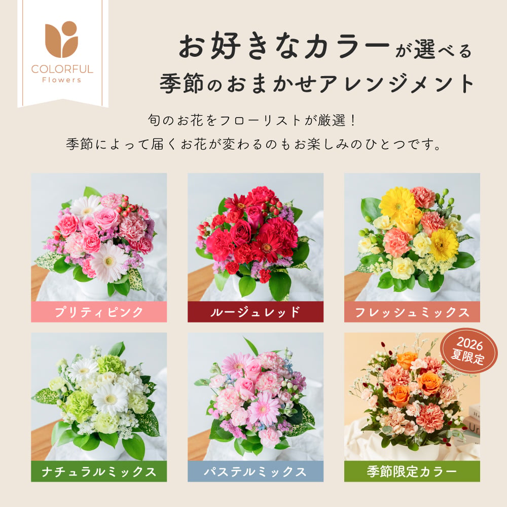 フラワーギフト カラフルガーデンフラワーアレンジメント Mサイズ 生花 花市場から直送 父の日  お祝い 誕生日 記念日