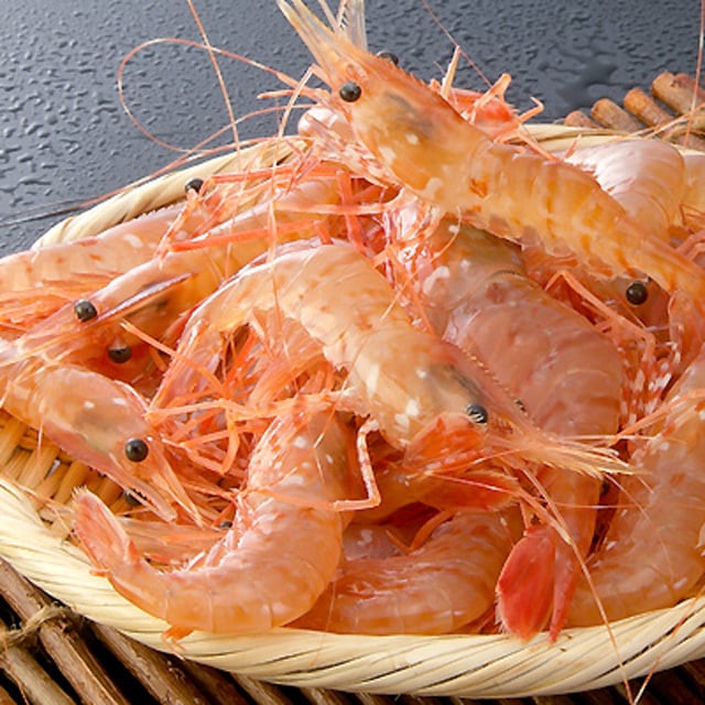 ボタンエビ 活 〆 オス 大中サイズ 500g 秋 北海道 噴火湾産 送料無料※沖縄は送料別途加算