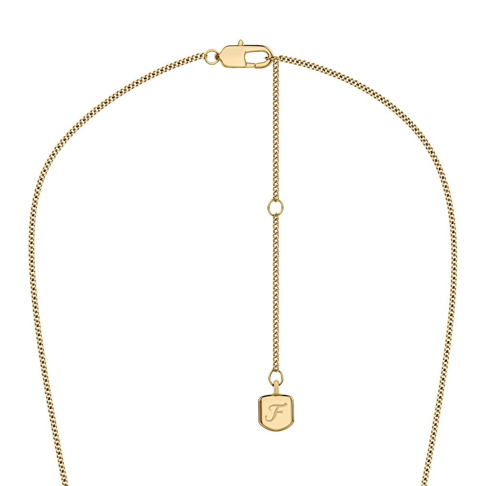 フォッシル FOSSIL Raquel アクセサリー ネックレス ペンダント レディース JF04997710【2026 新作】