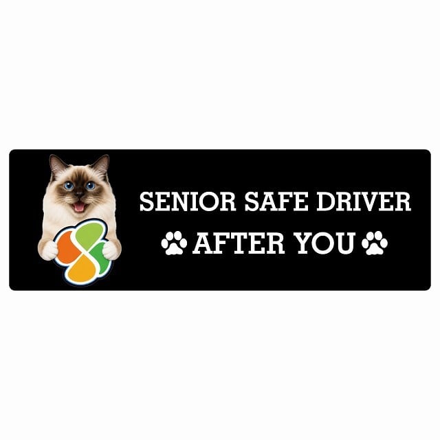 カーサイン 高齢者マーク SENIOR SAFE DRIVER バーマン ステッカー シール 長方形 15x5cm 肉球 日本製 車