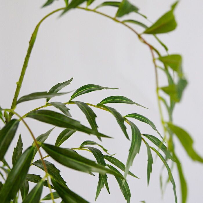 観葉植物 造花 マホニア コンフューサ BROWN 全高約180cm 大型 フェイクグリーン 高級 本物そっくり リアル おしゃれ 和風 和モダン インテリア 人工観葉植物 アーティフィシャルグリーン オフィス 店舗 ホテル 旅館 開店祝い 室内 リビング 玄関 庭木 細葉ヒイラギナンテン