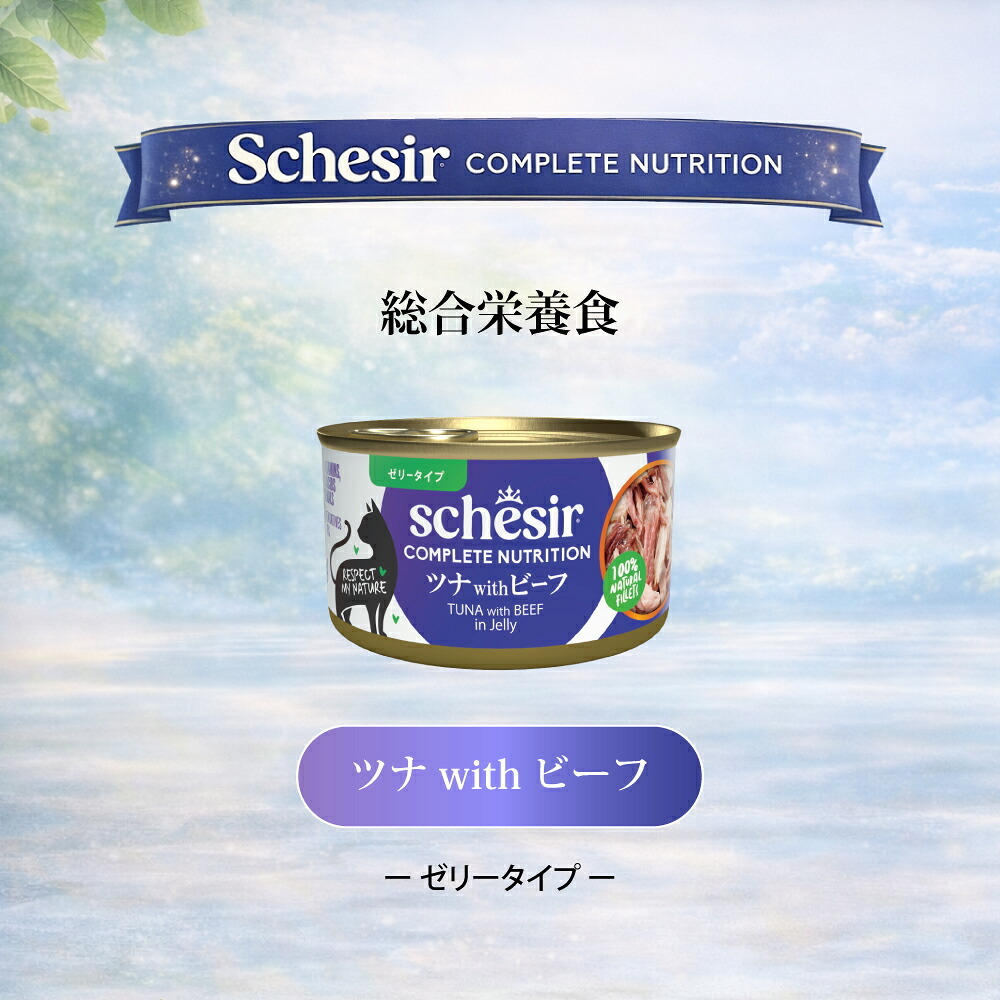Schesir シシア ツナwithビーフ 猫缶 キャットフード 85g×12個