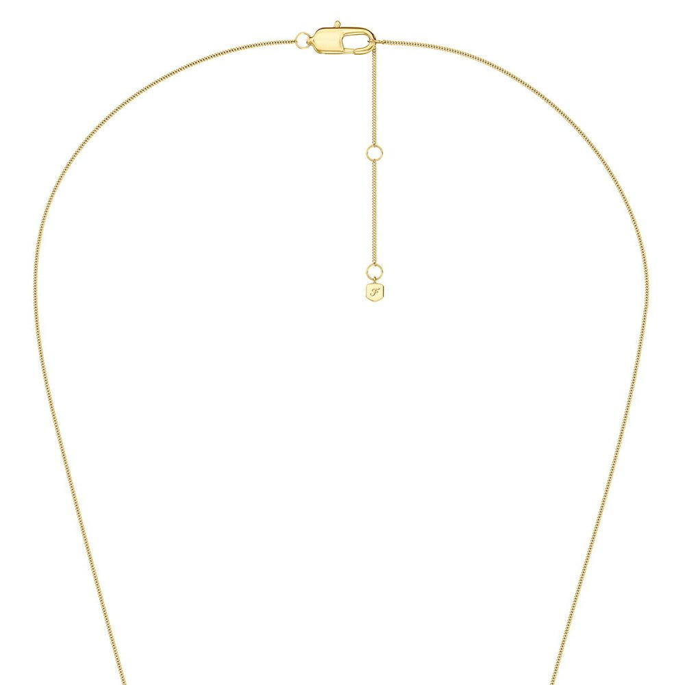 フォッシル FOSSIL Ellis アクセサリー ネックレス ペンダント レディース JF04977710