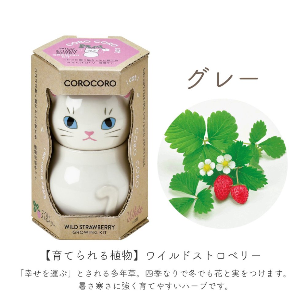 COROCORO cat（コロコロキャット）首をかしげて表情を楽しむ猫型栽培キット バジル ミント ワイルドストロベリー 植物 グリーン スターターセット オブジェ 置物 おしゃれ インテリア 雑貨 ギフト プレゼント 男性 女性 誕生日 ラッピング対応 無料ラッピング