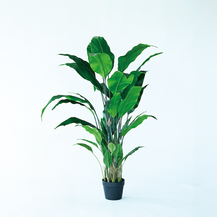 観葉植物 造花 スパティフィラム BROWN 全高約120cm 大型 フェイクグリーン 本物そっくり おしゃれ インテリア 人工観葉植物 アーティフィシャルグリーン オフィス 店舗 ホテル 開店祝い 室内 スパティフィルム フェイク