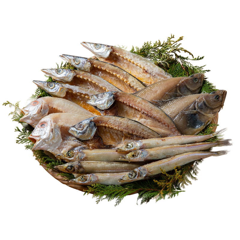 山陰海鮮一夜干しセット (6366-50) [お中元][お歳暮] ※送料無料(北海道・沖縄・離島への配送不可)