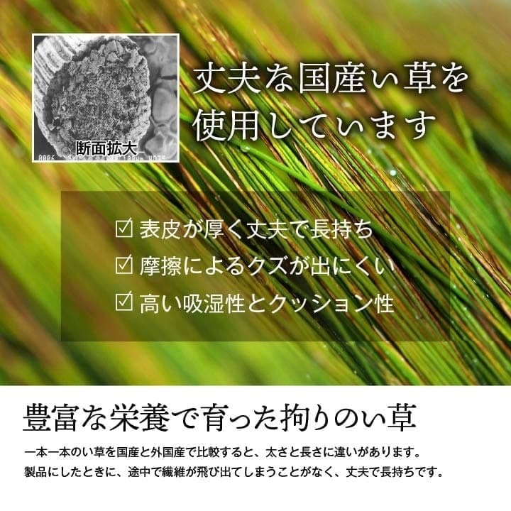 夏ラグ 夏用カーペット 純国産 い草 上敷き 上質ない草で作った カーペット 双目織 江戸間8畳(約352×352cm） 新生活