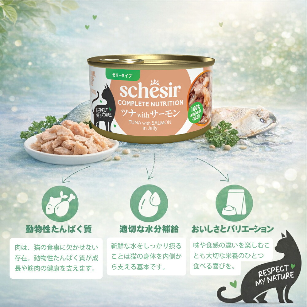 Schesir シシア ツナwithサーモン 猫缶 キャットフード 85g×12個
