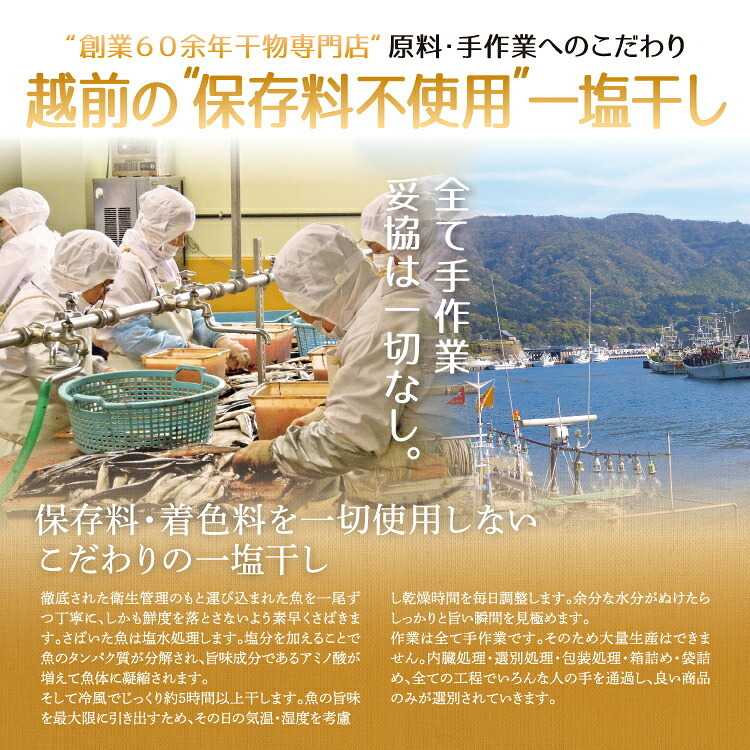 若狭カレイ 一塩干し ミニサイズ 3尾 3セット 6セット カレイ 一夜干し 保存料不使用 干物 天神講 天神様