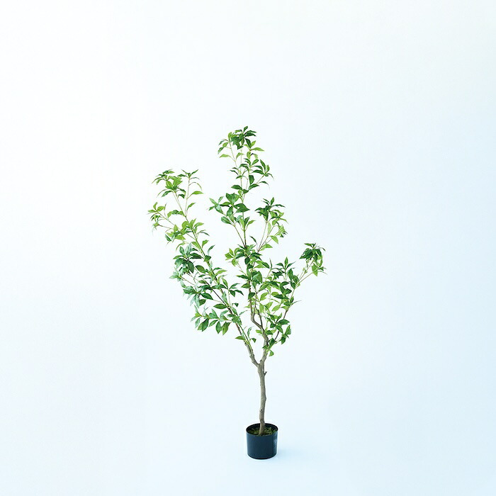 観葉植物 造花 アセビ BROWN 全高約150cm 大型 フェイクグリーン 本物そっくり おしゃれ インテリア 人工観葉植物 アーティフィシャルグリーン オフィス 店舗 ホテル 開店祝い 室内 馬酔木 あせび フェイク