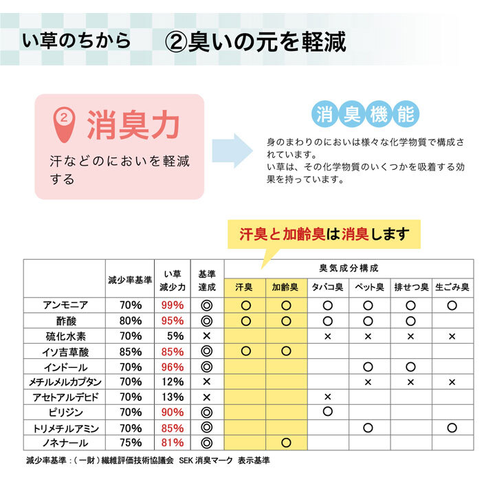 夏ラグ 夏用カーペット ラグ い草 撥水 滑り止め 不織布 格子柄 シンプル カジュアル 抗菌防臭 約190×300cm 新生活