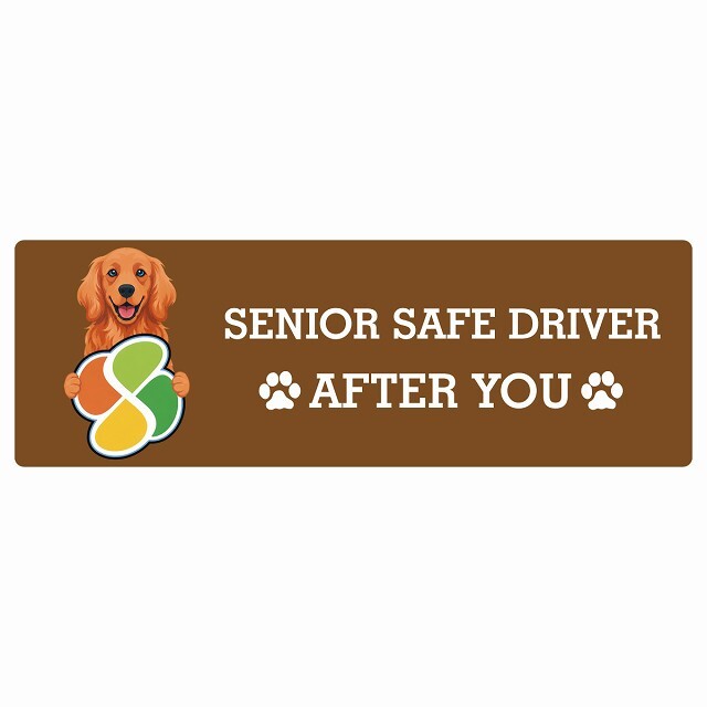 カーサイン 高齢者マーク SENIOR SAFE DRIVER アイリッシュセター ステッカー シール 長方形 20x6.7cm 肉球 日本製 車