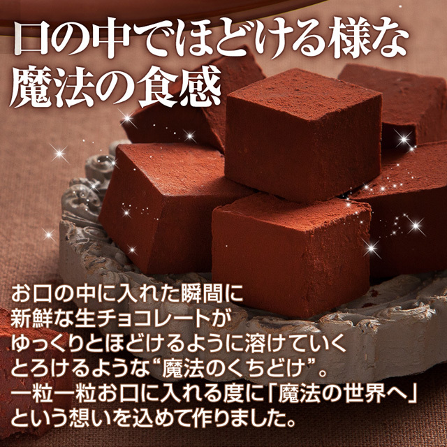 神戸フランツ 神戸魔法の生チョコレート・プレーン 【手提げ袋付】 スイーツ 洋菓子 チョコレート チョコ プレゼント ギフト 贈り物 手土産 誕生日 敬老の日
