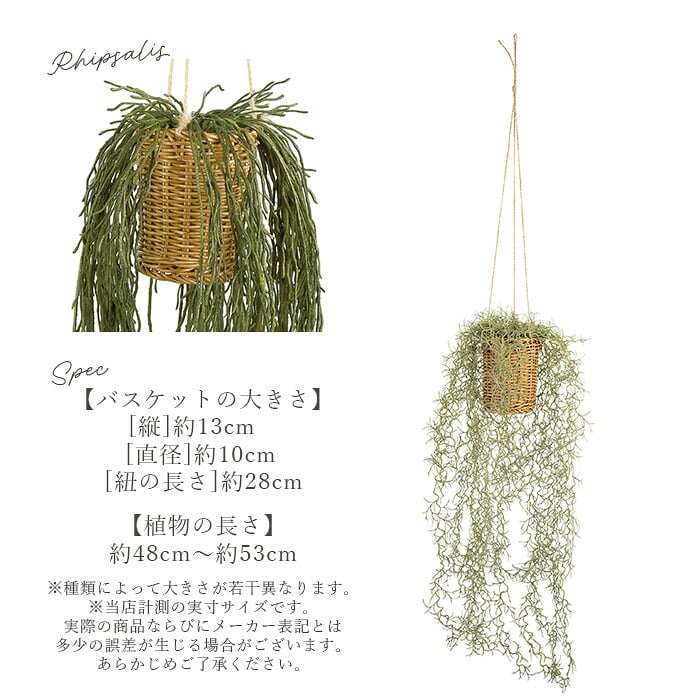 CT触媒 フェイクグリーン ハンギング 通販 キシマ アーティフィシャルグリーン 観葉植物 フェイク グリーン 吊り下げ バスケット 壁掛け 人工観葉植物 消臭 ハンギングバスケット 小さめ 小型 おしゃれ リビング リアル kishima 造花 インテリア