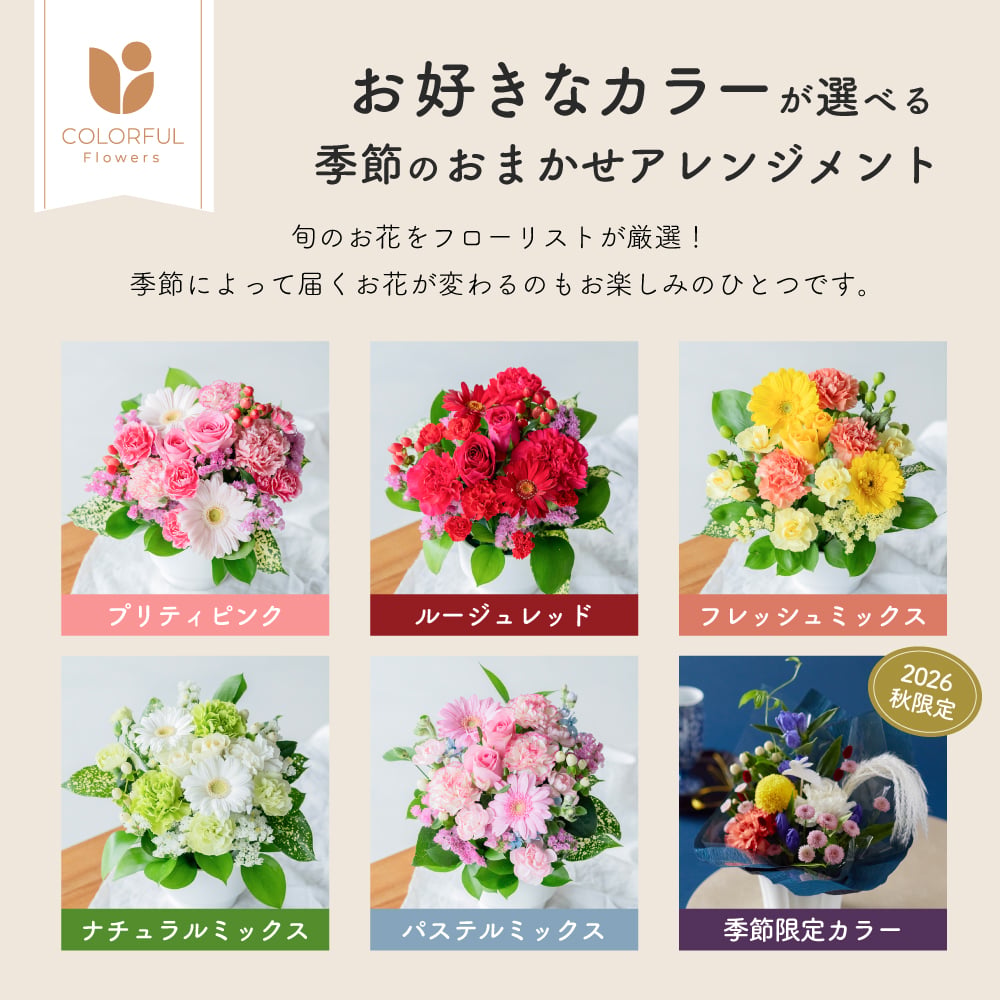 カラフルガーデン アレンジメントS  生花 花市場から直送 お祝い 誕生日 記念日