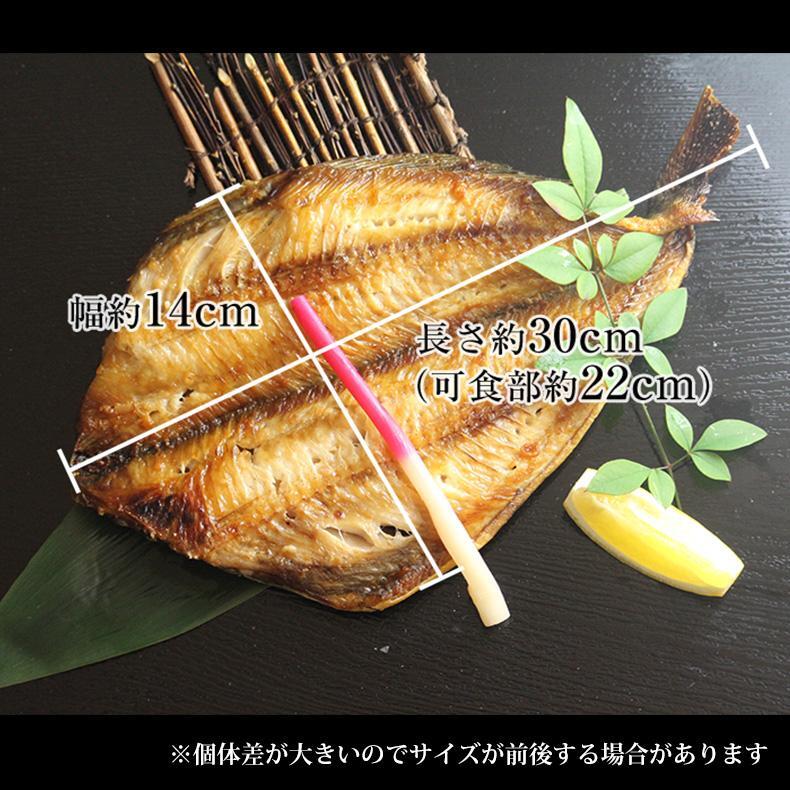 特大 笹の葉 干物セット 3種 詰め合わせ 合計1kg以上 無添加 【干物/ひもの/冷凍/ほっけ/ホッケ/さば/サバ/鯖/赤魚/敬老の日/ギフト/2026/プレゼント/おつまみ/贈り物/贈答/海鮮】