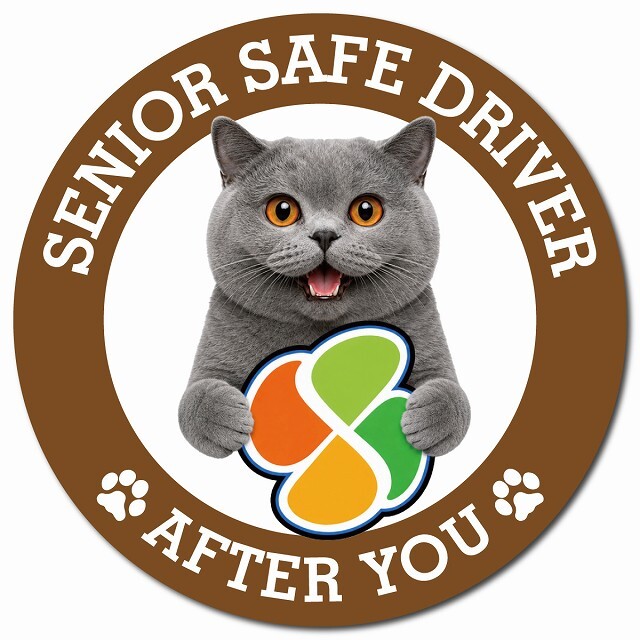 カーサイン 高齢者マーク SENIOR SAFE DRIVER ブリティッシュショートヘア マグネット 強力 直径13cm 肉球 日本製 車 ステッカー