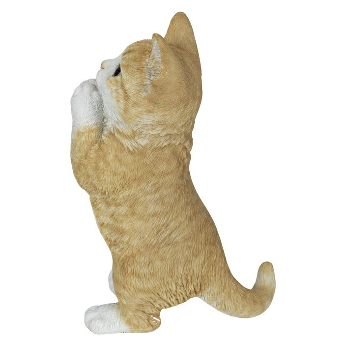 置物 猫 おねだりビスケットとら白猫 高さ23cm woobia ウービア リアル かわいい おしゃれ 玄関 インテリア オブジェ ガーデン とら猫 おねだり ねこ ネコ 動物 癒し 棚 北欧 プレゼント ギフト 新築祝い 猫好き